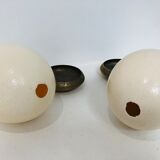 Pair of ostrich eggs on base, early 20th