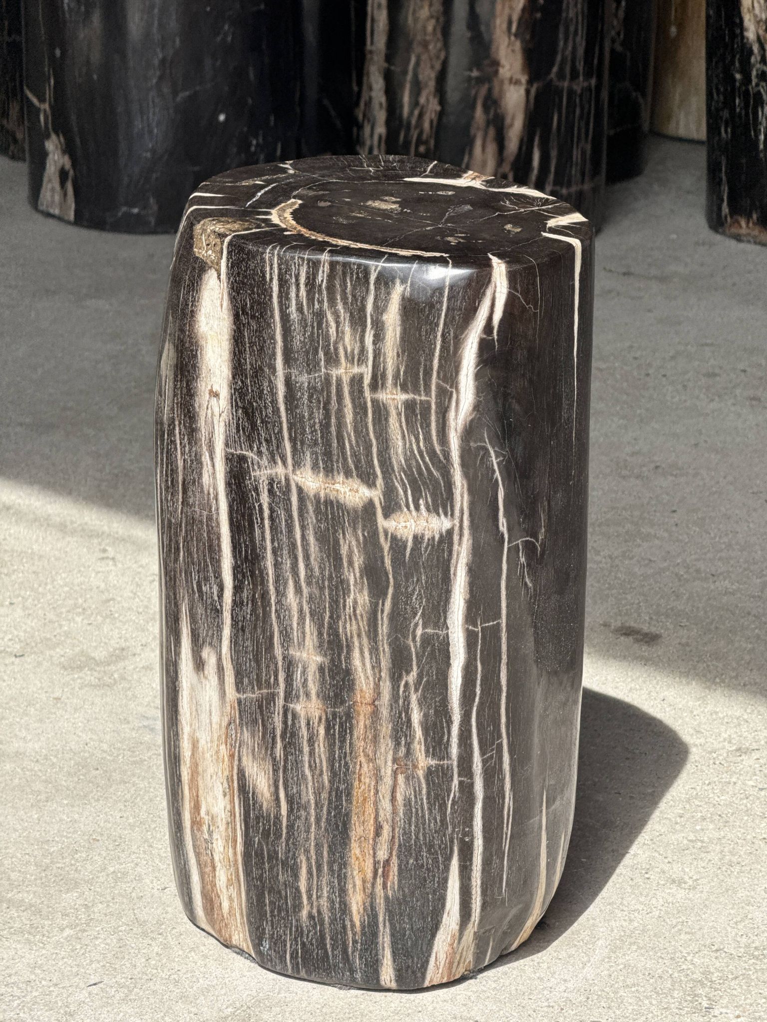 Black petrified wood side table with white and beige stripes H40 D23 - 3