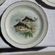 Set of 6 vintage Limoges porcelain plates with fish design.