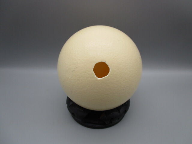 Ostrich egg on pedestal