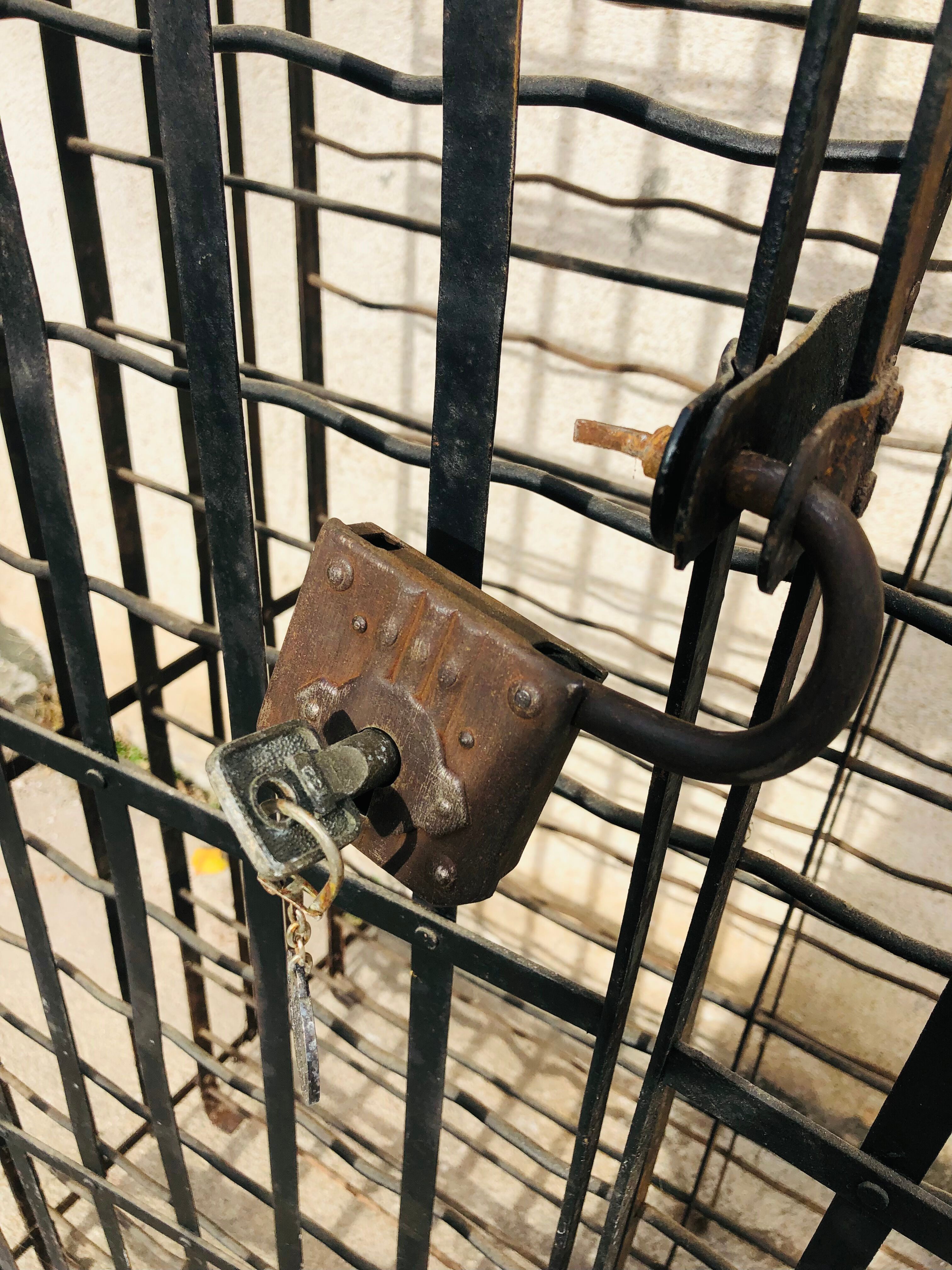 Wine cellar of 300 bottles