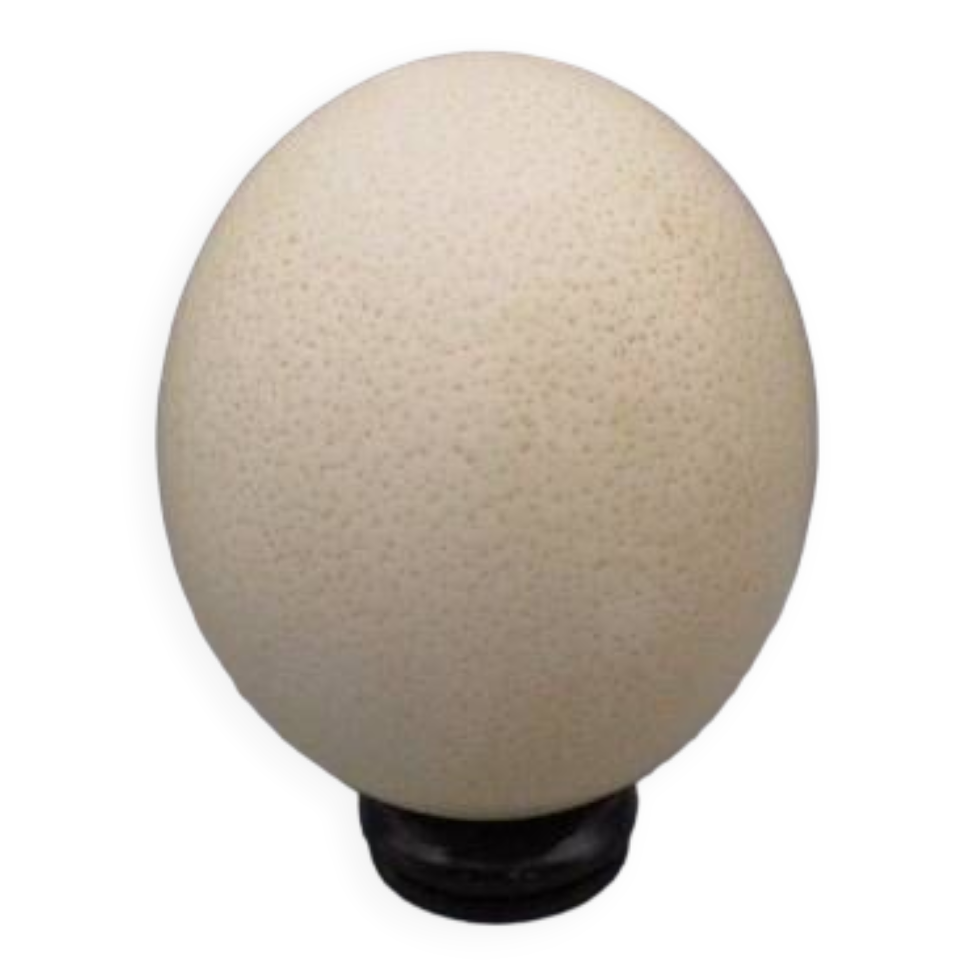 Ostrich egg on base