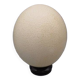 Ostrich egg on base