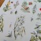 Printed in 1954, calming plants.