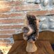 Wood head sculpture