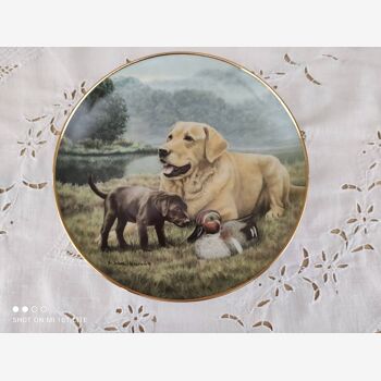 Assiette de collection The Franklin Mint modèle "First Encounter" by Nigel Hemming