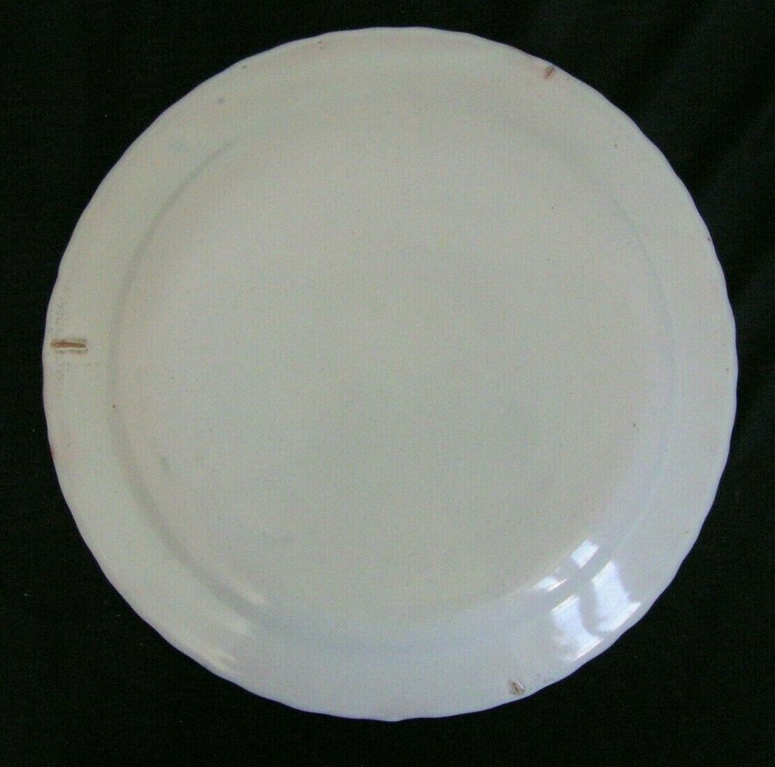 Earthenware plate with polychrome floral decoration XIXth