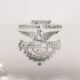 Dinner Plate by Guido Andlovitz for Laveno, Italy