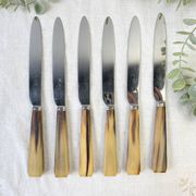 Lot de 6 couteaux de table vintage en corne