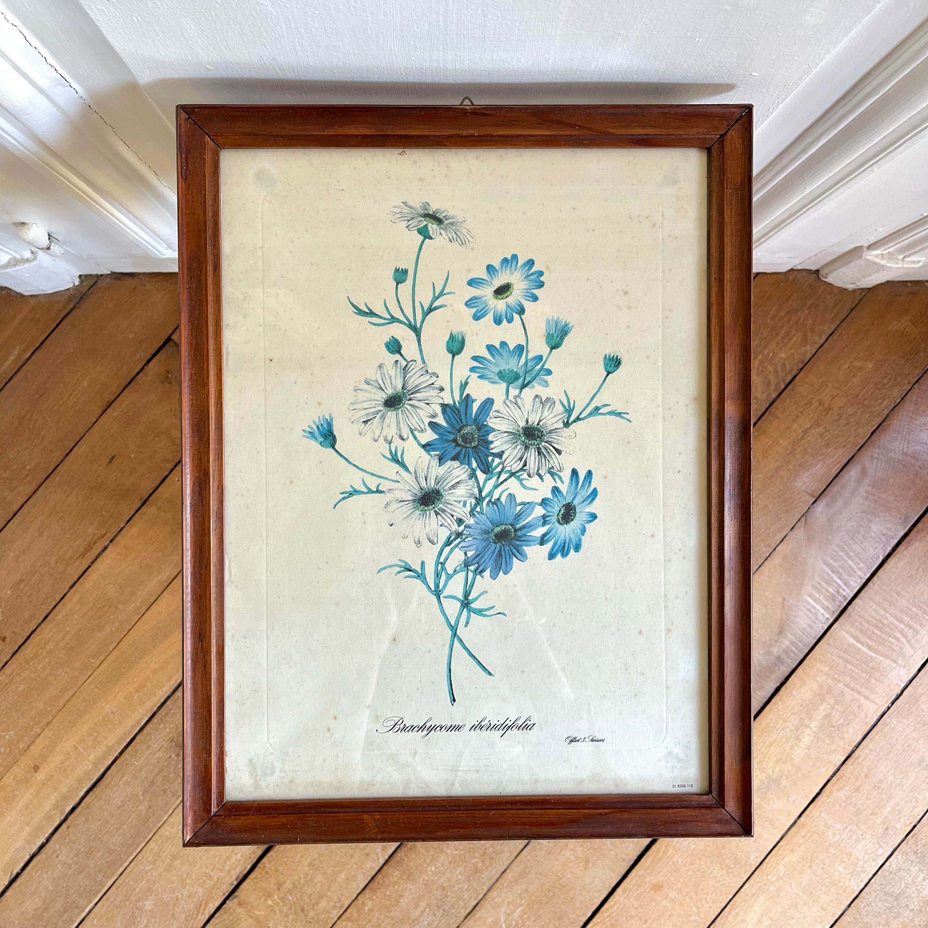 Vintage botanical board frame with blue flowers