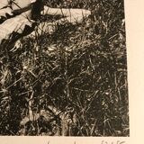 Original heliograph signed Jeanloup Sieff. Paris 1983.