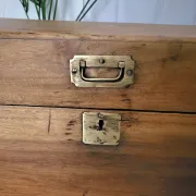 Old camphor wood trunk