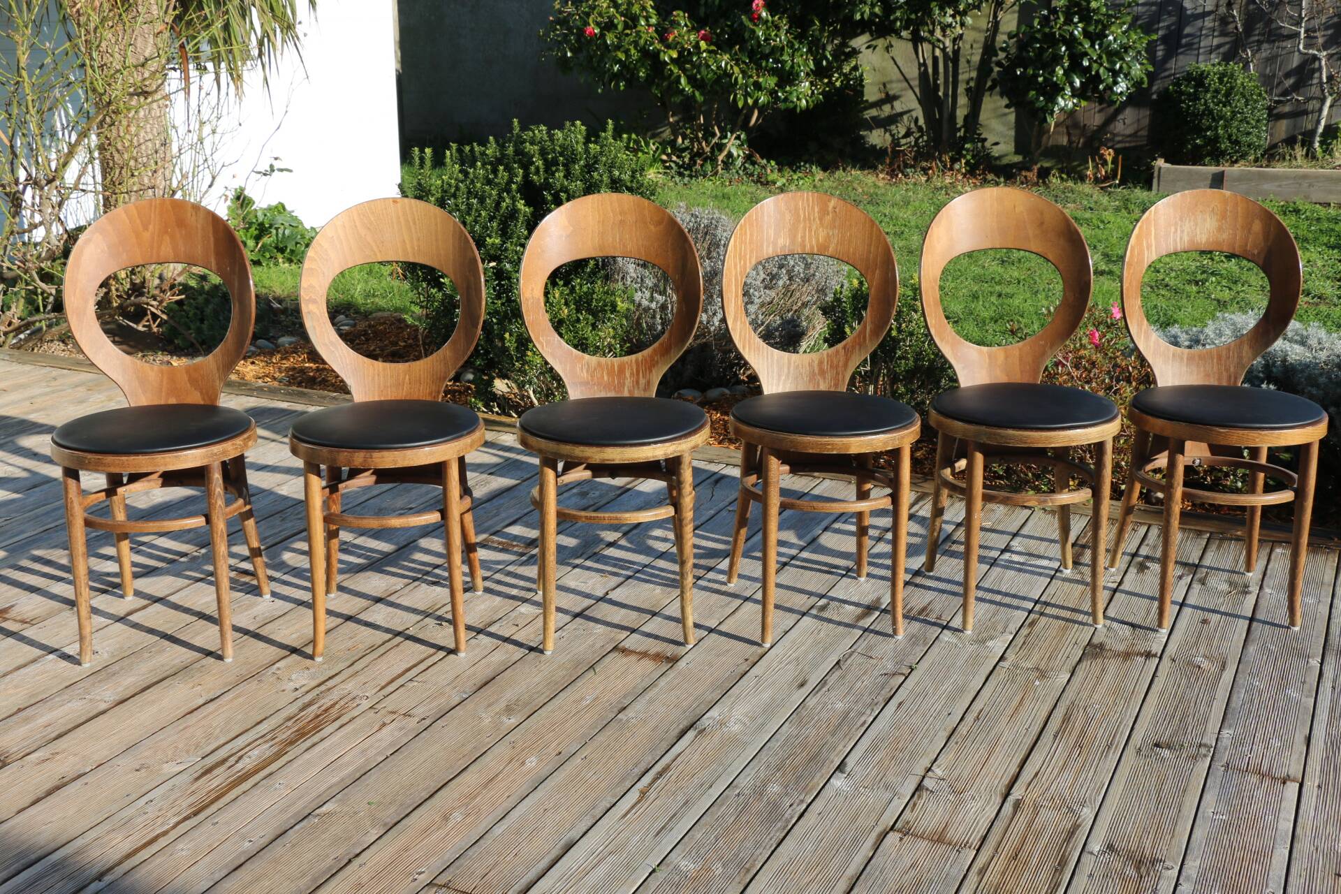 6 BAUMANN seagull chairs dark beech black skai