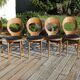 6 BAUMANN seagull chairs dark beech black skai