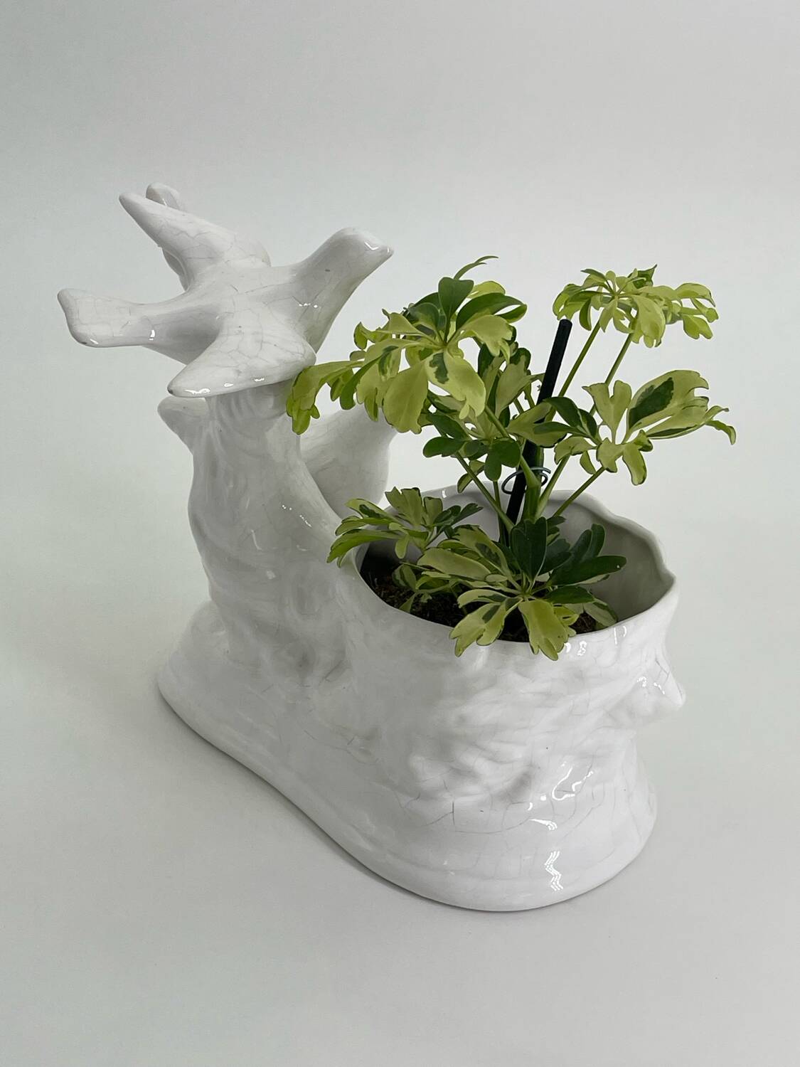 Vintage white porcelain dove planter