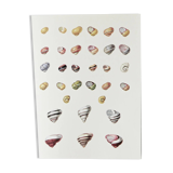 Bestiary plates from the Natural History Museum The snails