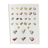 Bestiary plates from the Natural History Museum The snails