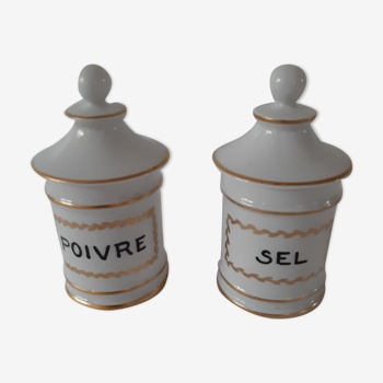 Duo poivre et sel porcelaine de Limoges