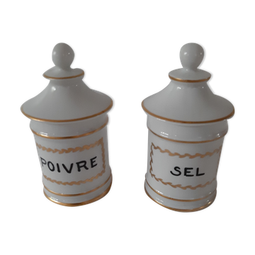 Limoges porcelain pepper and salt duo