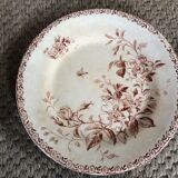 Series of 9 plates Iron Earth