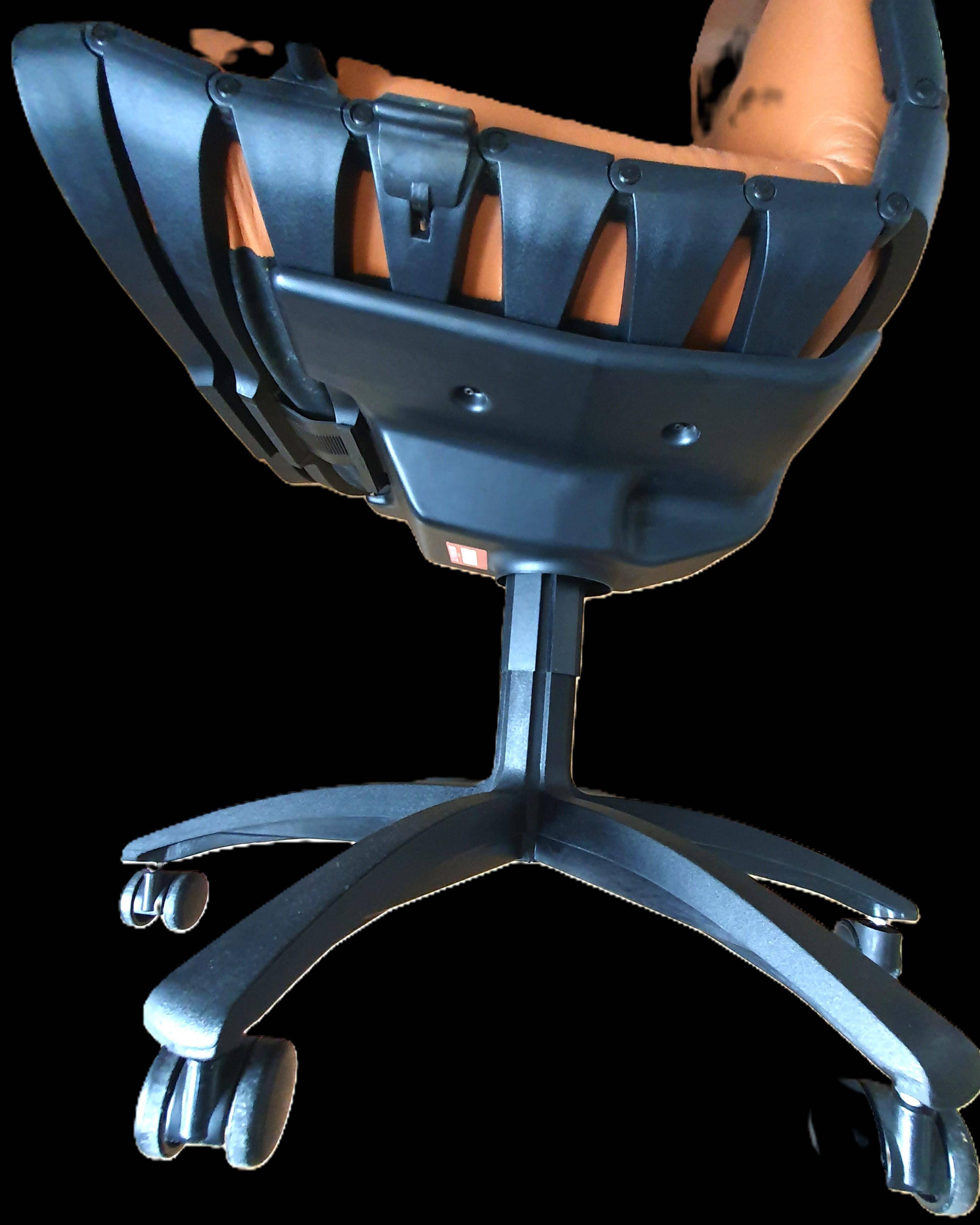 Antropovarius armchair by F.A. Porsche for Poltrona Frau