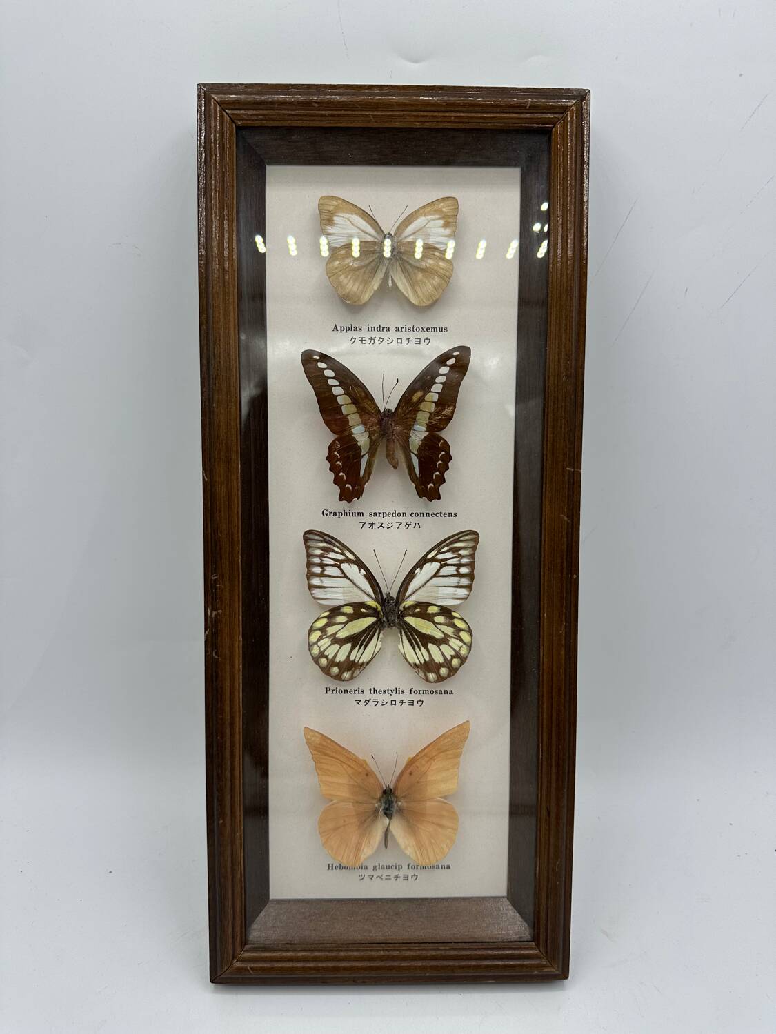 Neutralized butterfly frame