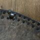 Studded leather wastepaper basket Arts & Crafts 1920 popular art