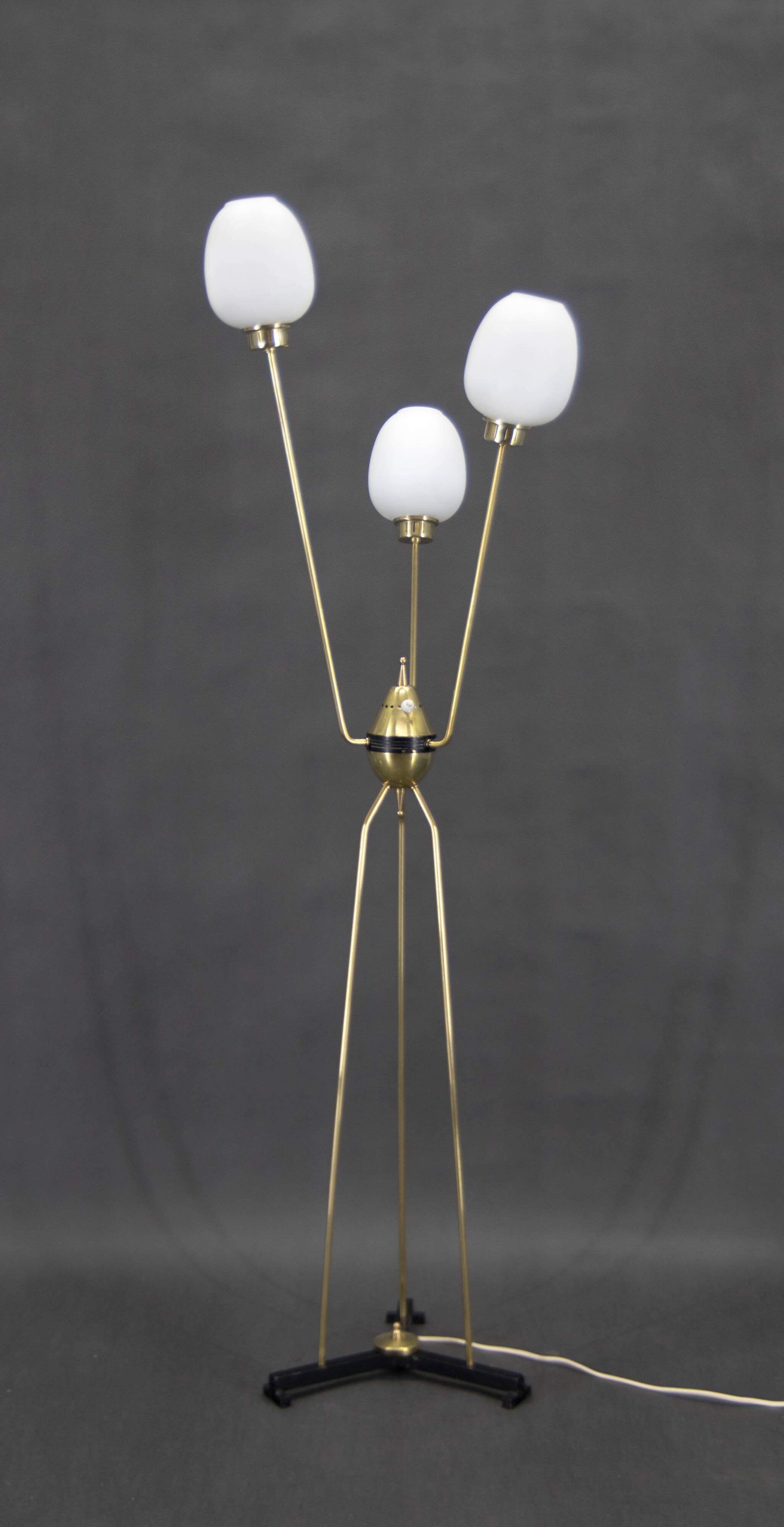 Mid-Century Floor Lamp, Italy, 1960s