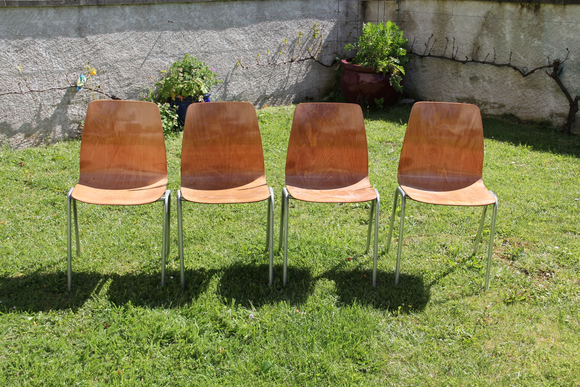 Lot de 4 chaises Pagholz Pagwood