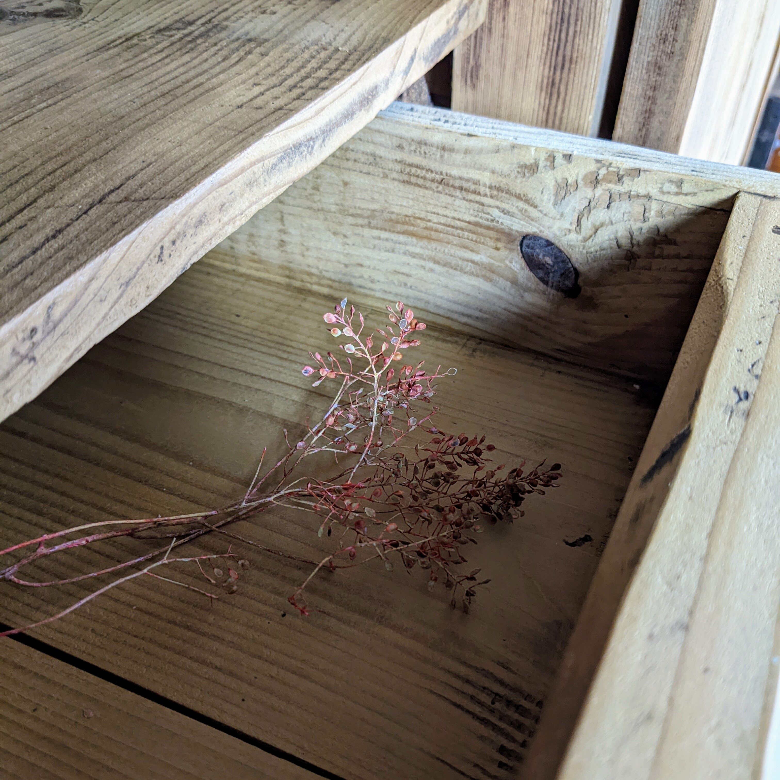 Renovated high buffet