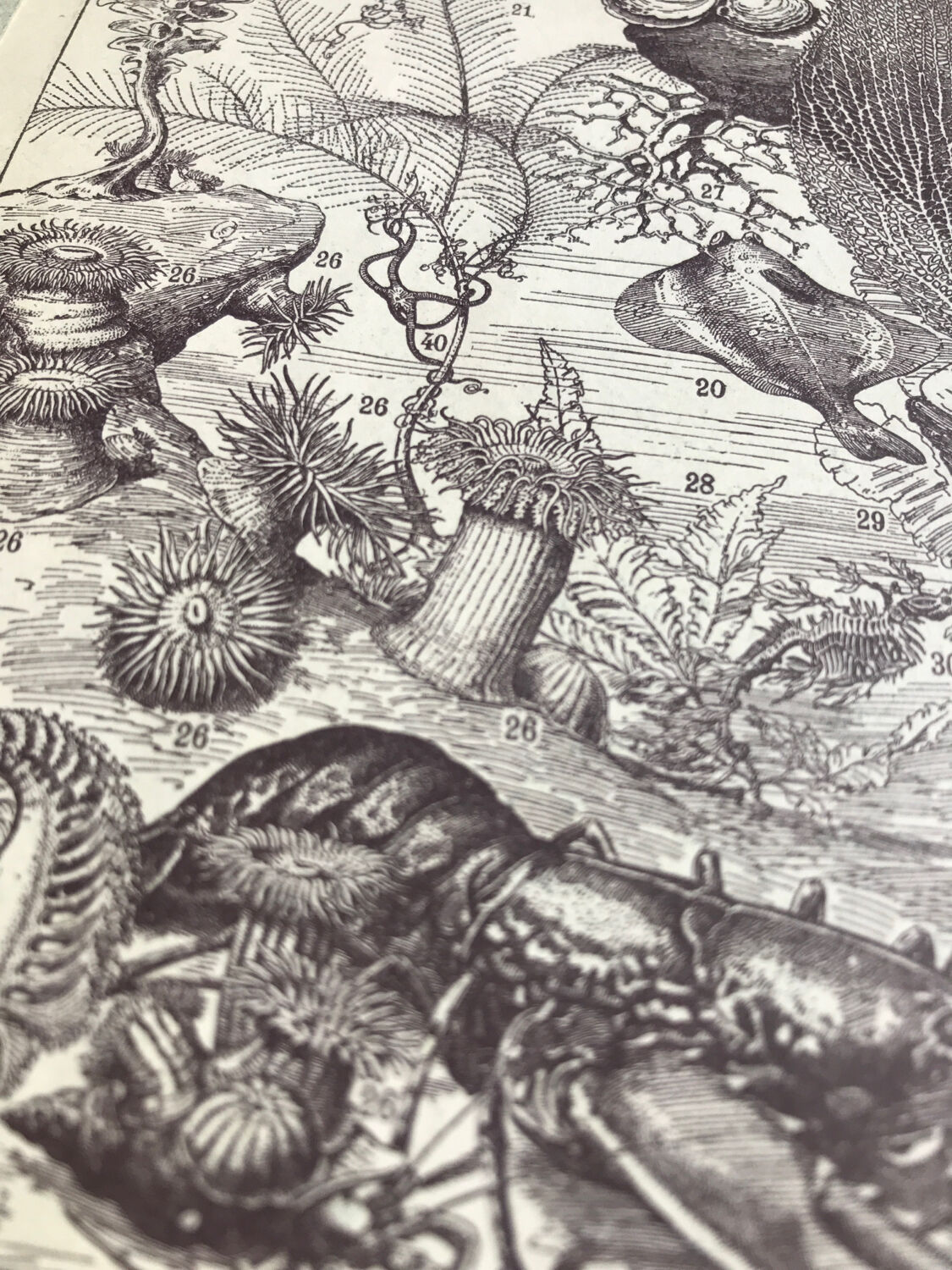 Original oceanographer board