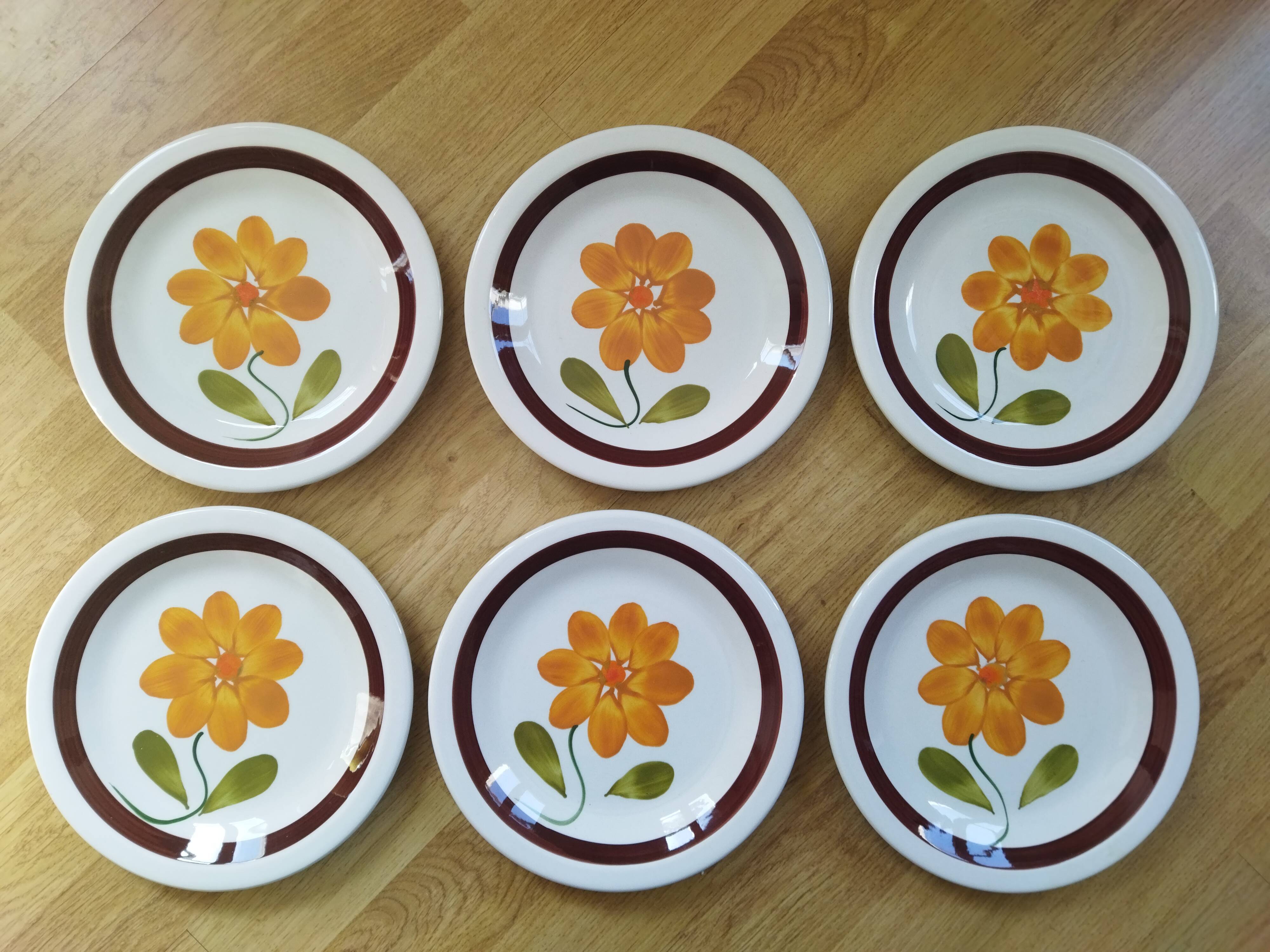 6 plates in vintage Italian earthenware 1970