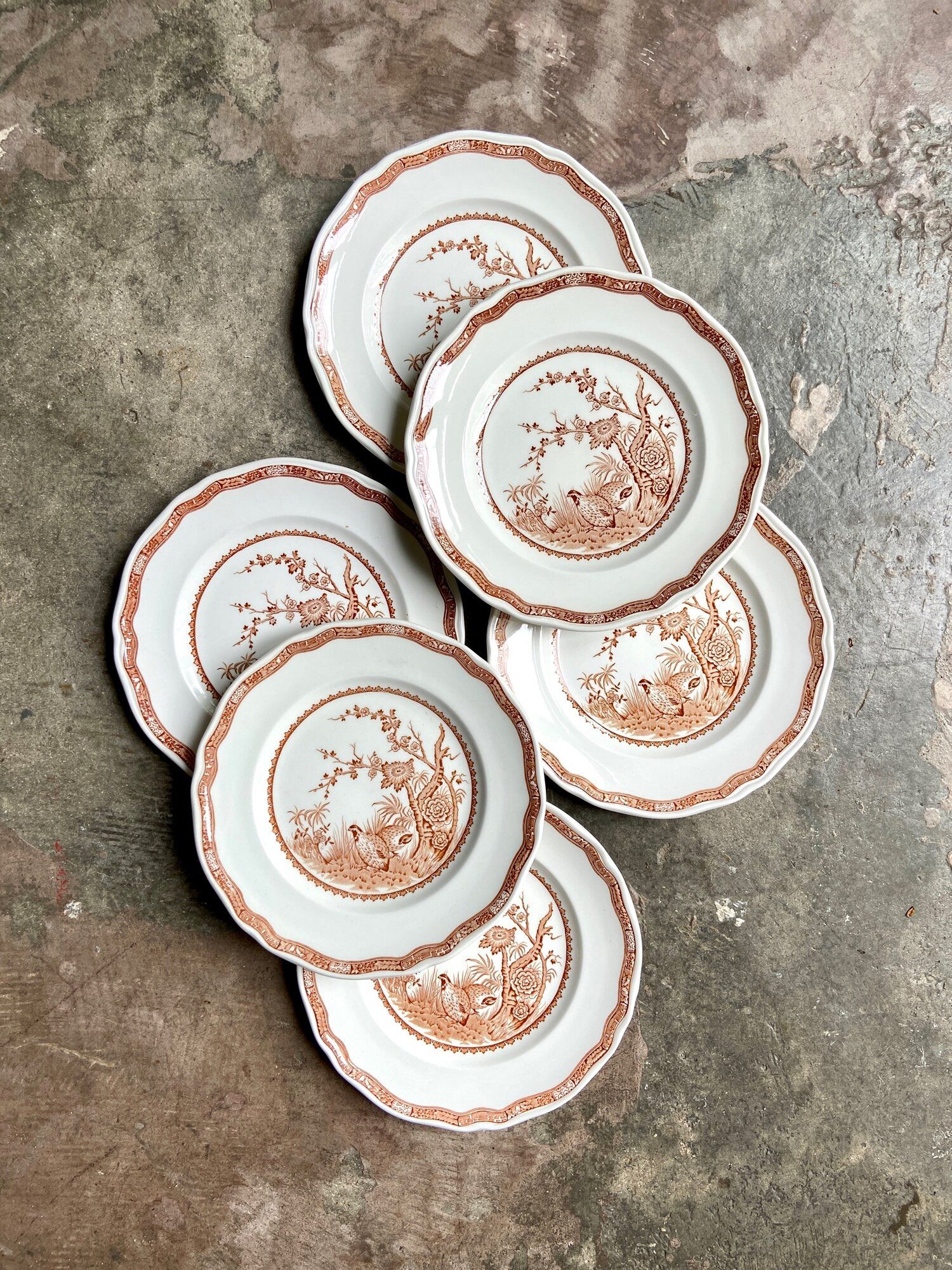 6 flat plates in ochre English ironland, service "Furnivals Quail"