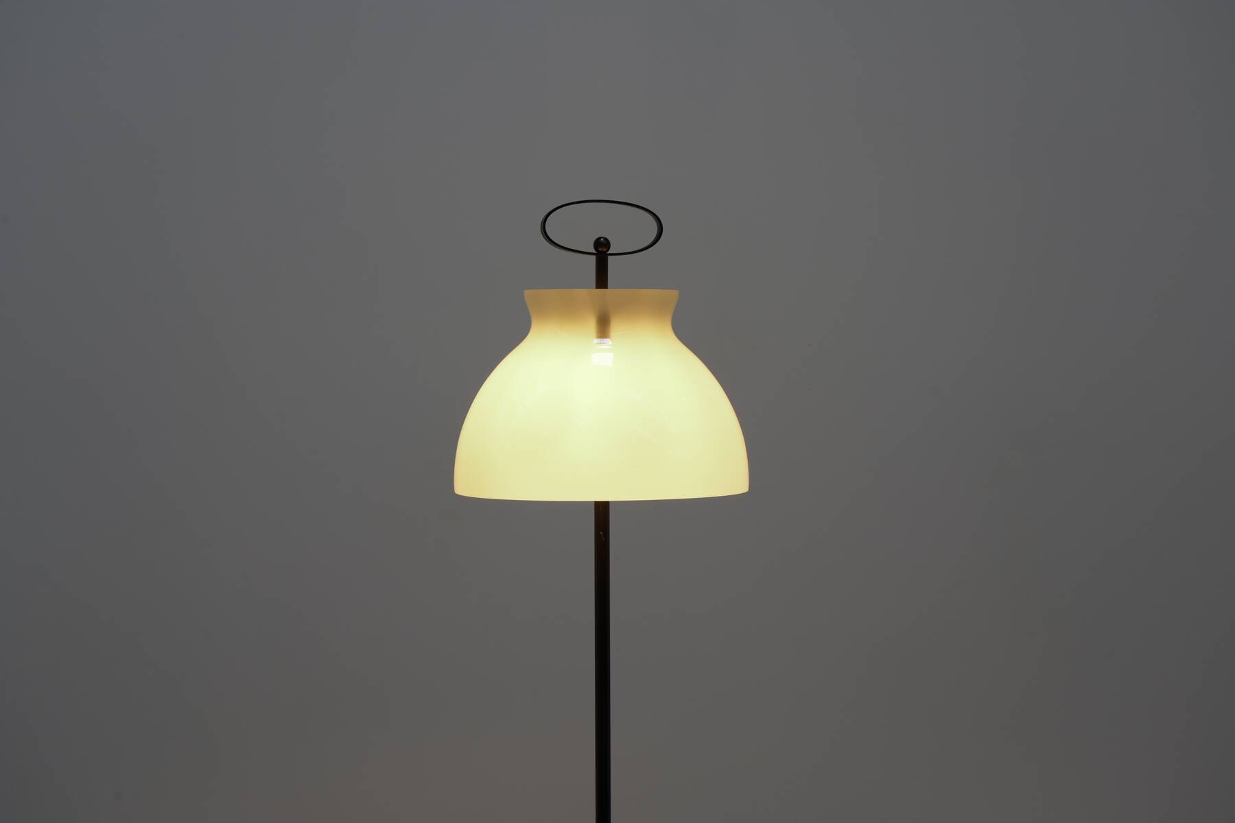 Italian floor lamp by Annieg Sarian for Adrasteia circa 1950