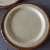 4 flat sandstone plates