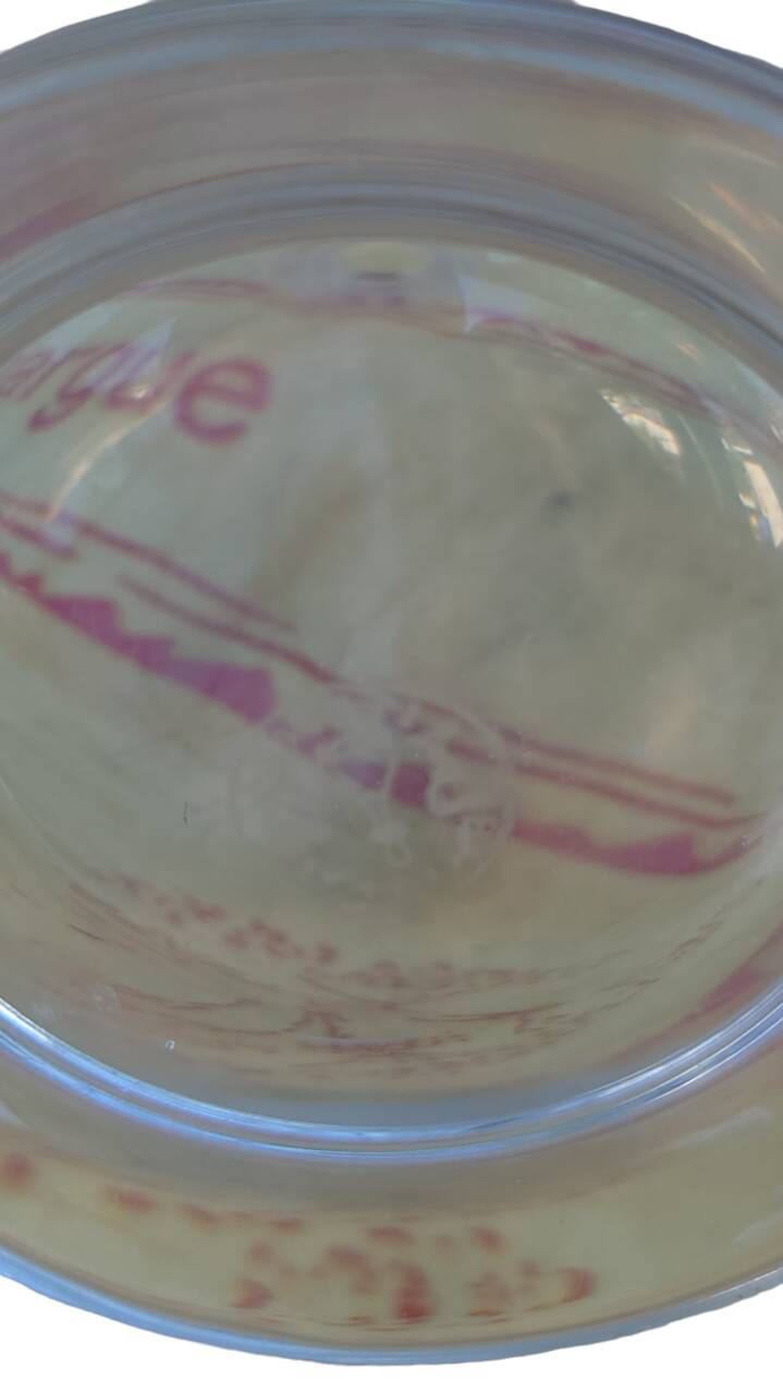 baccara liqueur carafe margaux model signed cap and carafe