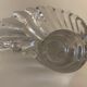 Empty crystal pocket in the shape of a shell
