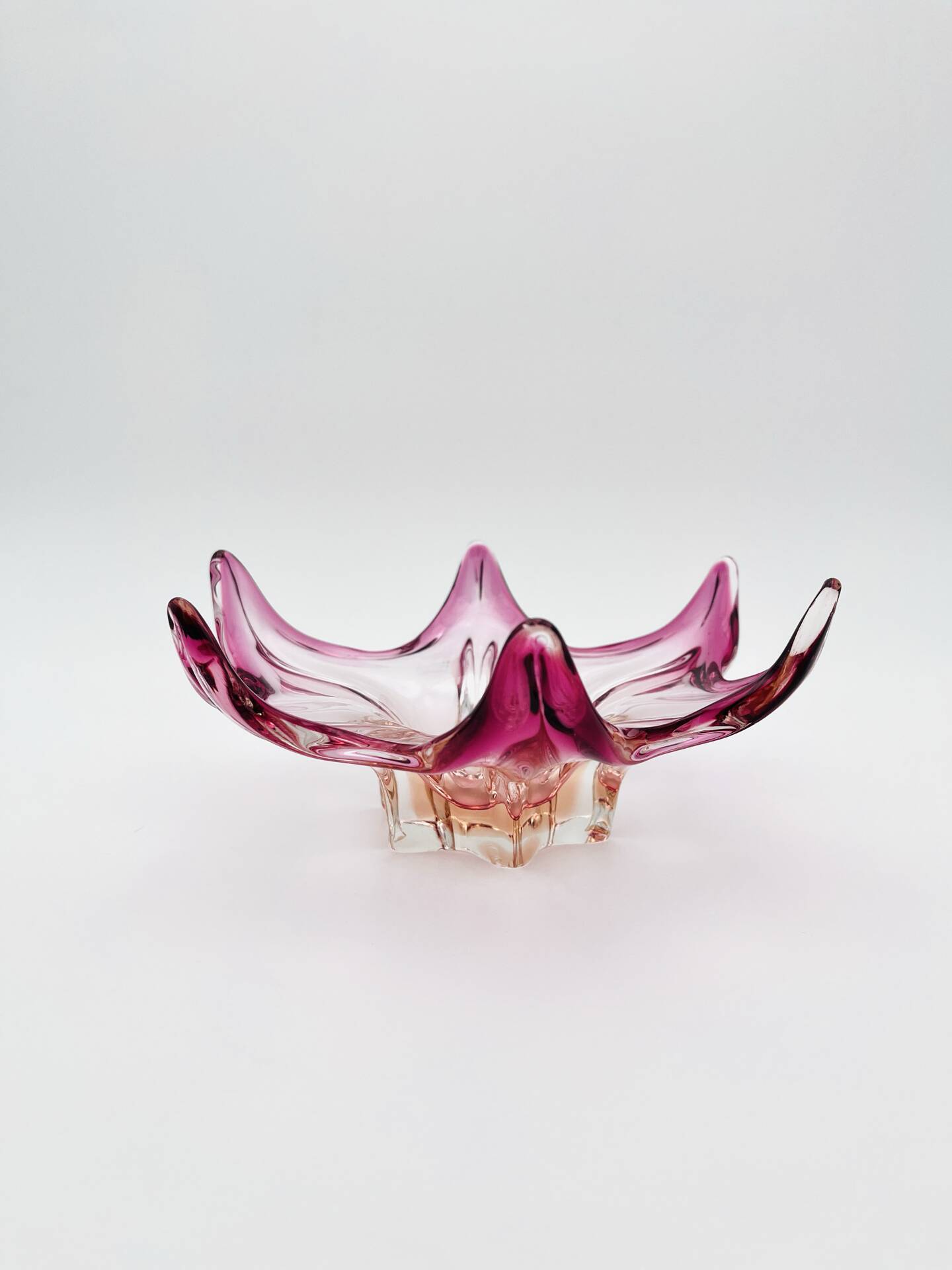 Murano Organic Cup - Peach & Fuchsia Gradient - Star 1960
