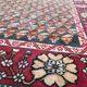 Very large carpet Algeria style done Donegal hand 292 X 686 CM