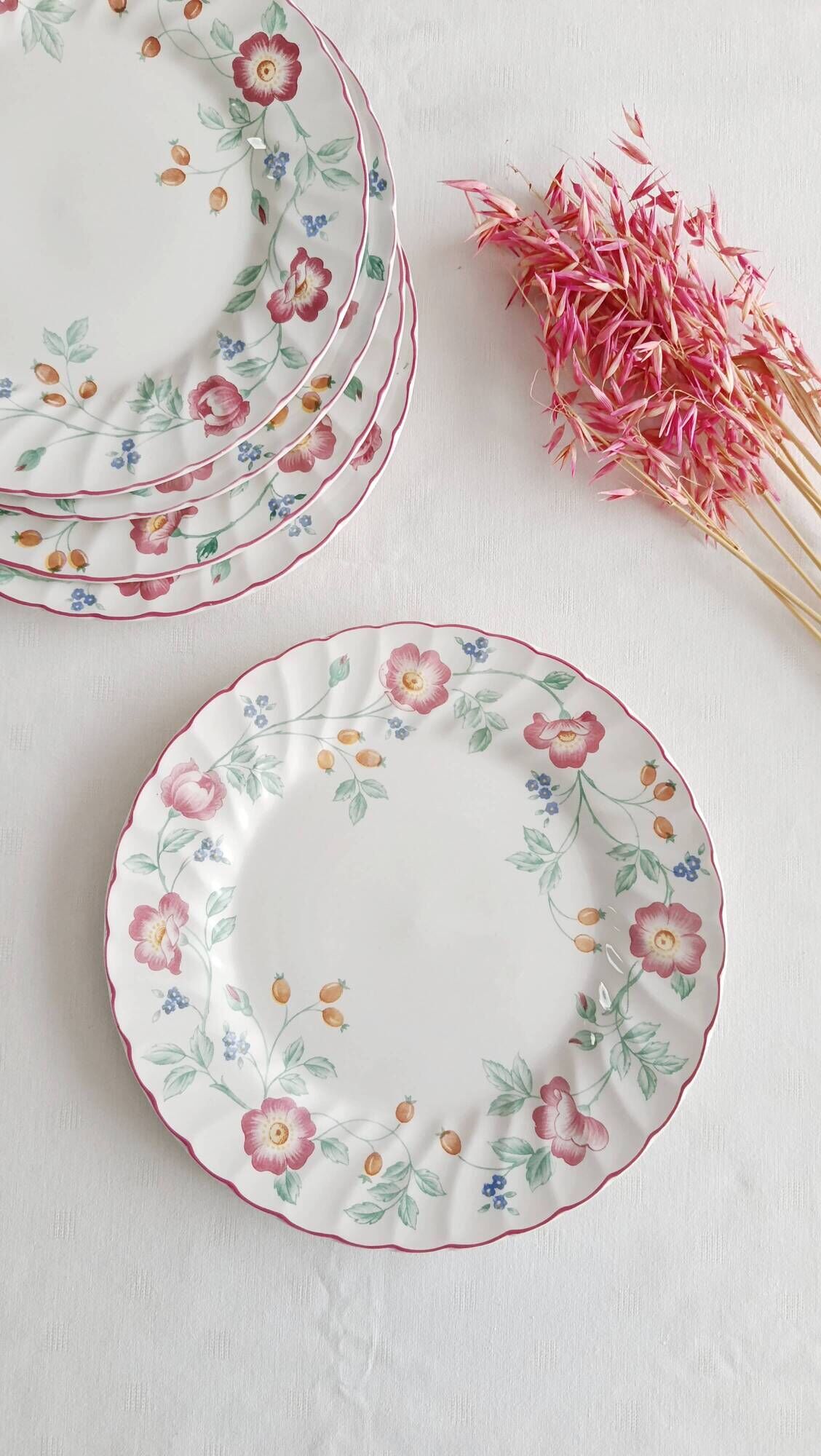 Set of 5 flat plates Churchill, Briar Rose