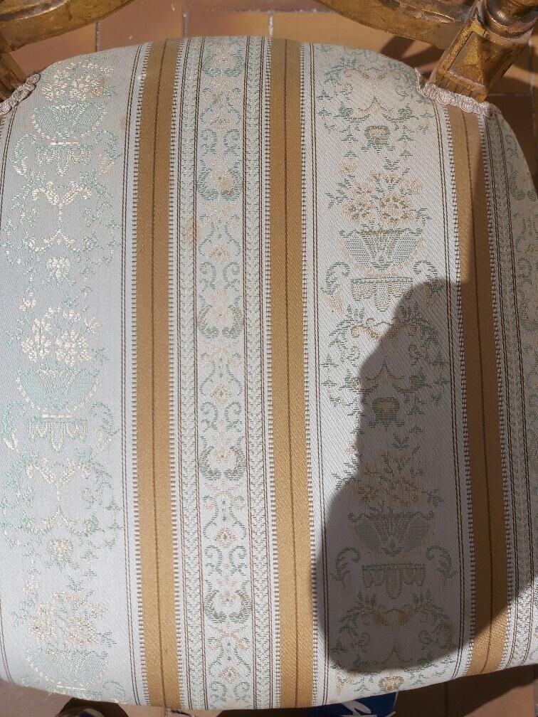 Pair of chairs with a golden lyre