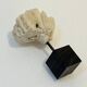 Antique natural white fossil coral on wooden base cabinet of curiosities