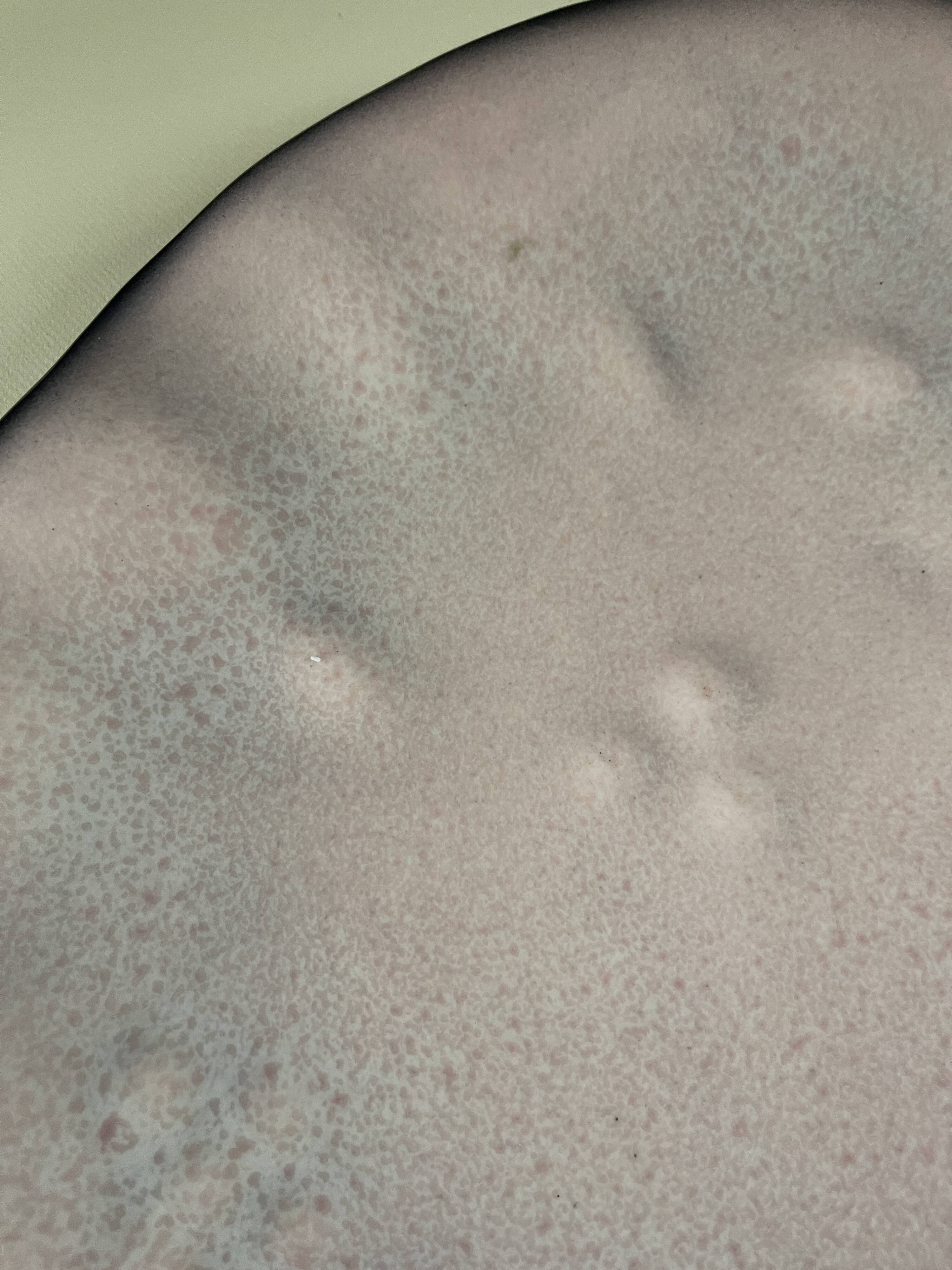 Huitre Pol Chambost Dish No.1042 45 cm vintage crockery