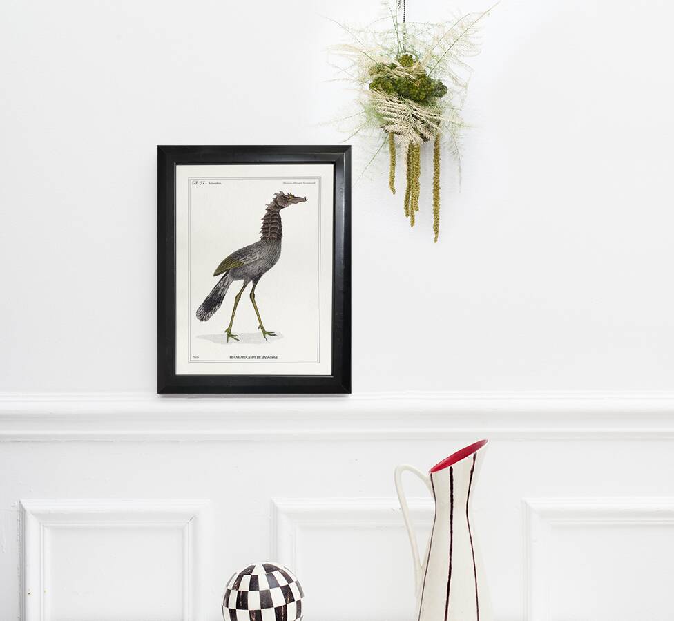 Lithograph engraving chimera animal, the cariapocampus 22x28 cm