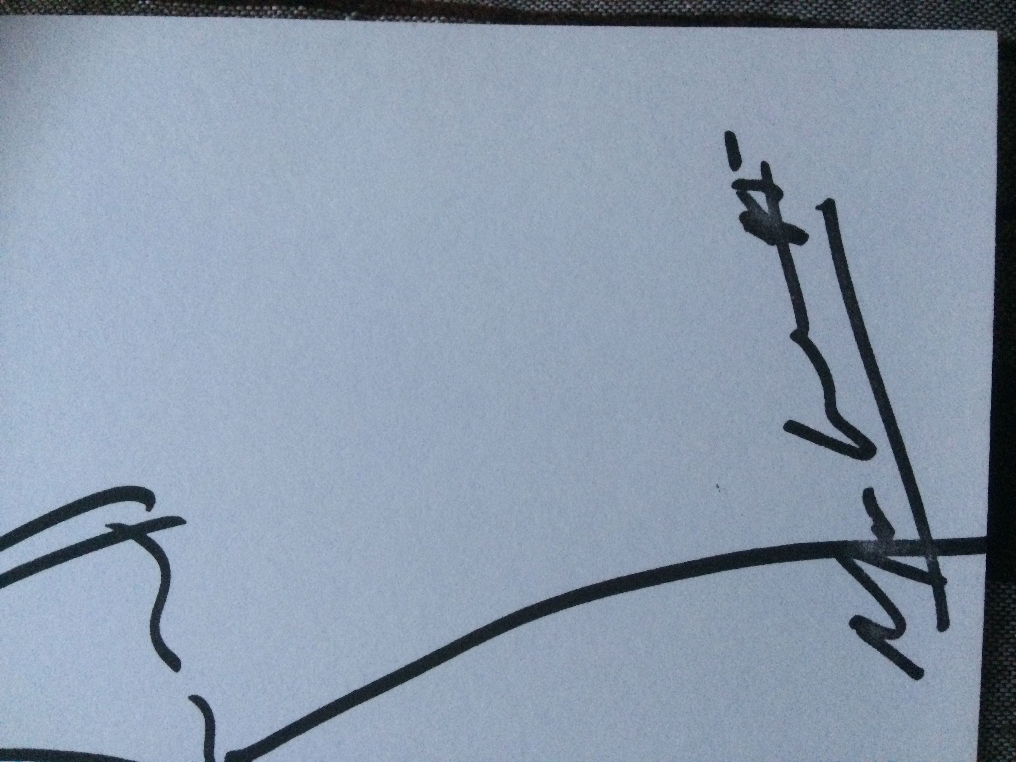 Christian Dior sketch mode accompanied by a photography