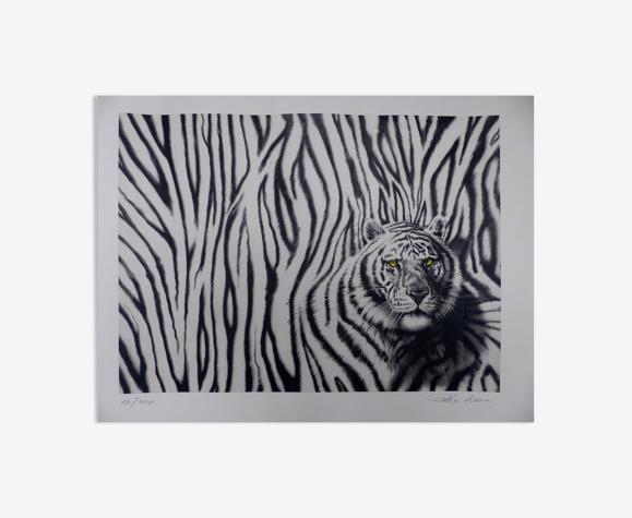 Black and white tiger signed lithograph