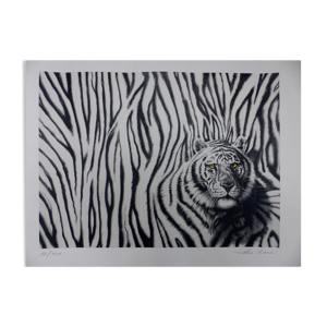 Tigre noir et blanc lithographie