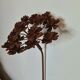 Iron flower