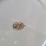 Set of 4 flat plates