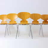 Special set of 5 Ant chairs by Fritz Hansen